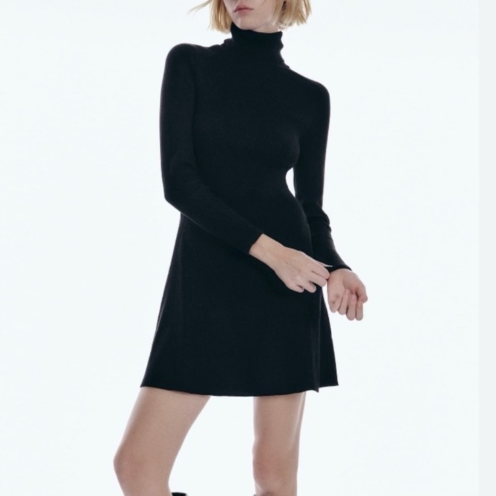 Zara ribbed turtleneck drop waist dress NWT Small